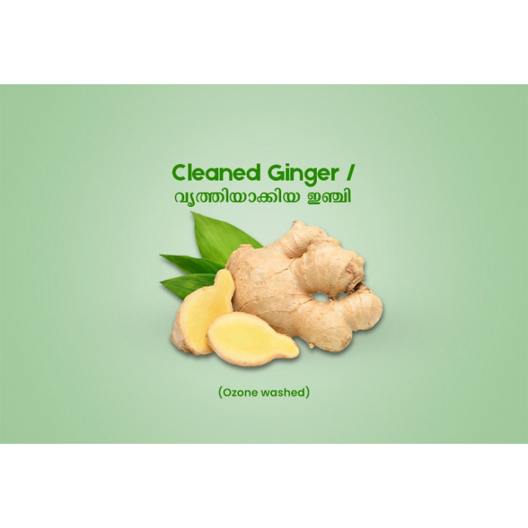 Cleaned Ginger / വൃത്തിയാക്കിയ ഇഞ്ചി  -250gm Pack ( Ozone Washed)